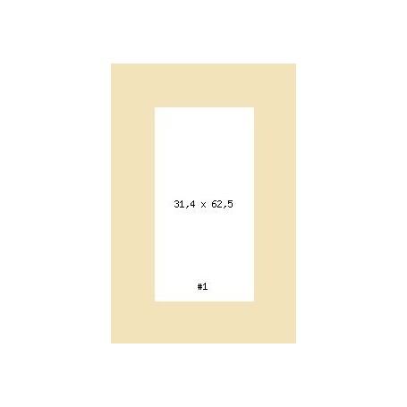 PRODUCT-251908