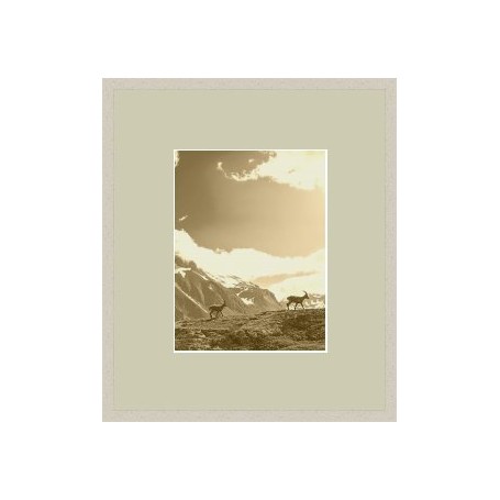 PRODUCT-252325