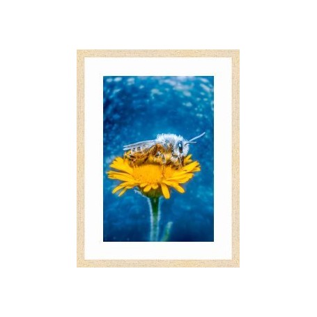 PRODUCT-255889