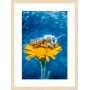 PRODUCT-255889
