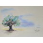 PRODUCT-257960