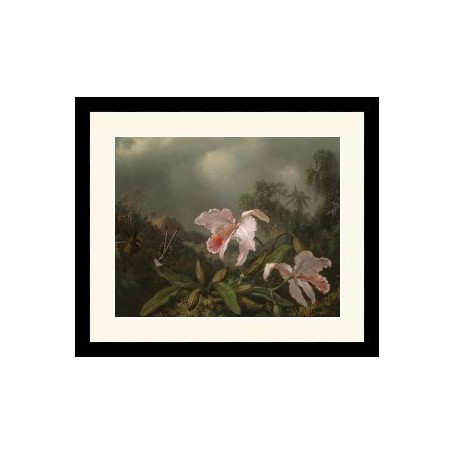 PRODUCT-267253