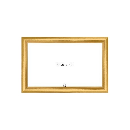 PRODUCT-269556