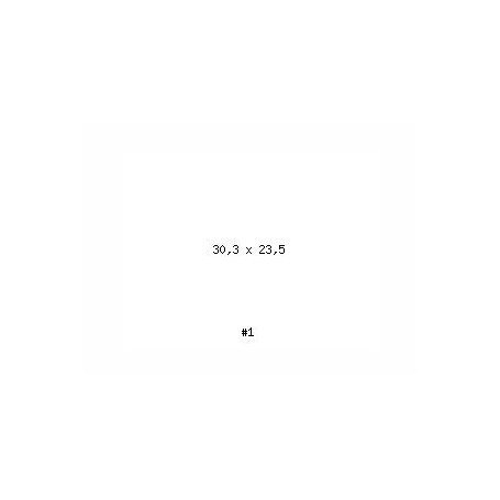 PRODUCT-272921