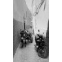 PRODUCT-274685