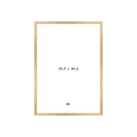 PRODUCT-278562
