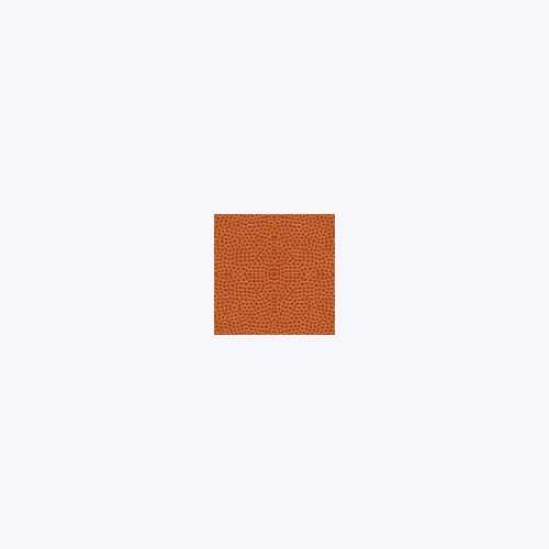Échantillon de passe-partout — Basketball 1.5mm (B62-100)